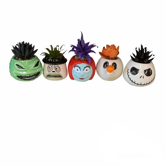 5 Nightmare Before Christmas Succulent Plant Disney Jack Sally Zero Mayor Oogie - Picture 1 of 9